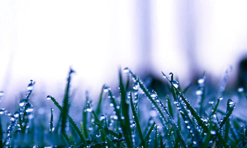 星空体育APP网站