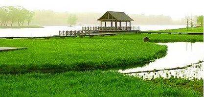 星空体育APP网站