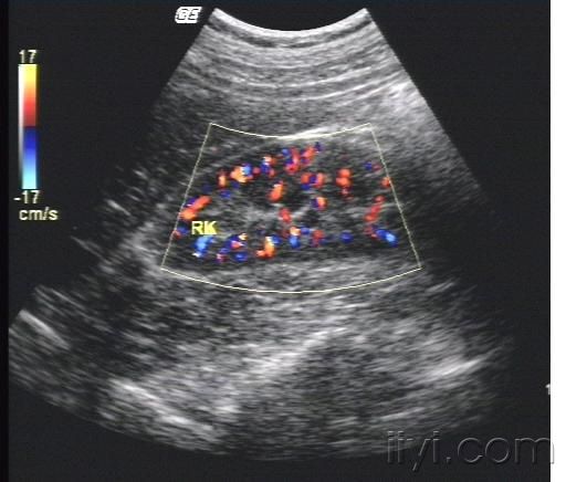星空体育APP网站_
成华生态情况(图5) 星空体育app下载