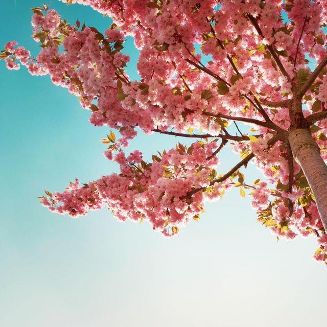 星空体育APP网站-端州别袁侍郎