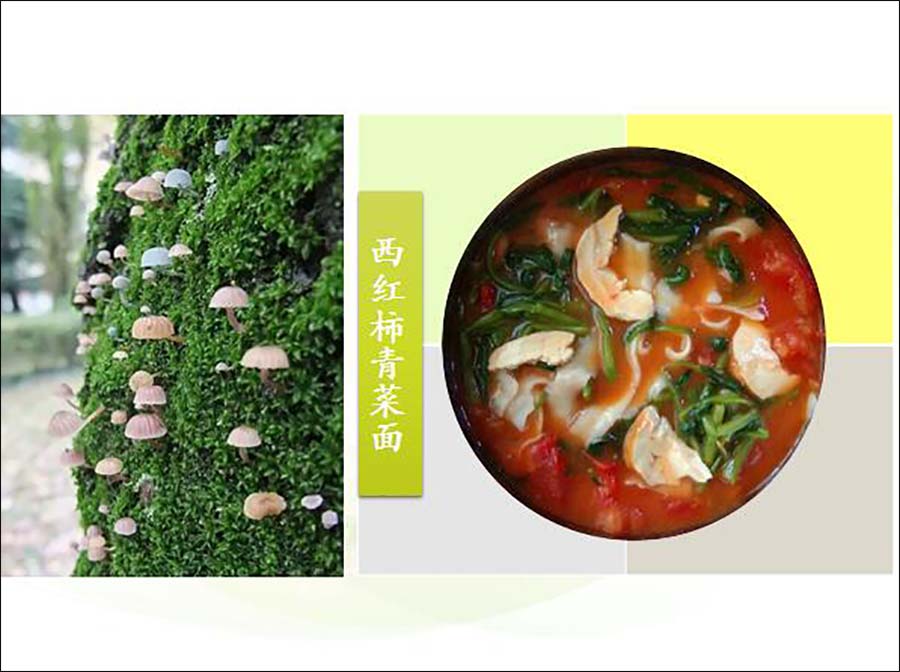 穿山甲“中间宿主”身份曝光,新型冠状病毒药物研发曙光乍现【星空体育APP】