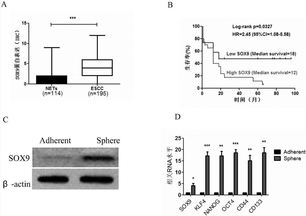 星空体育app下载