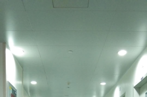 星空体育APP网站