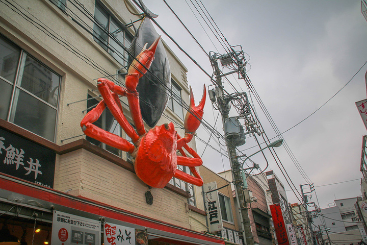 星空体育app下载