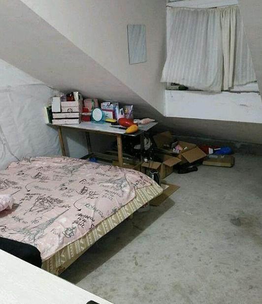 关于经纪人的反思-星空体育app下载