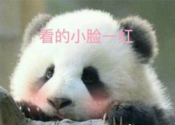 星空体育app下载