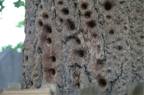 星空体育app下载