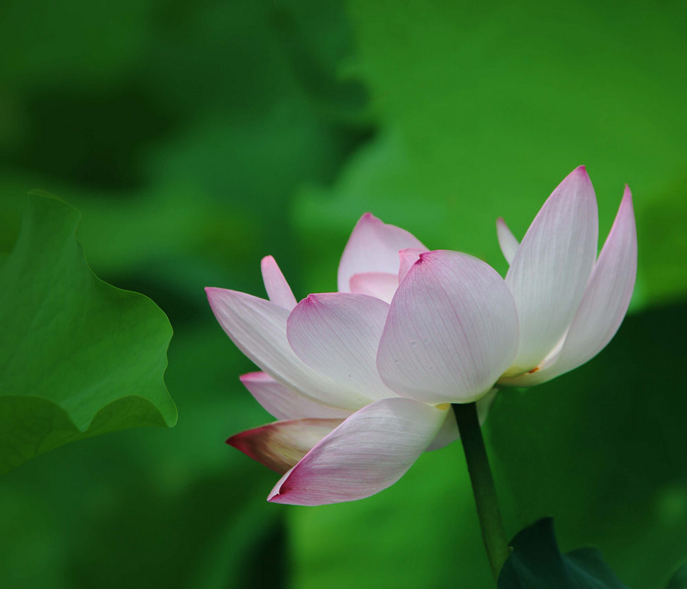 星空体育APP网站