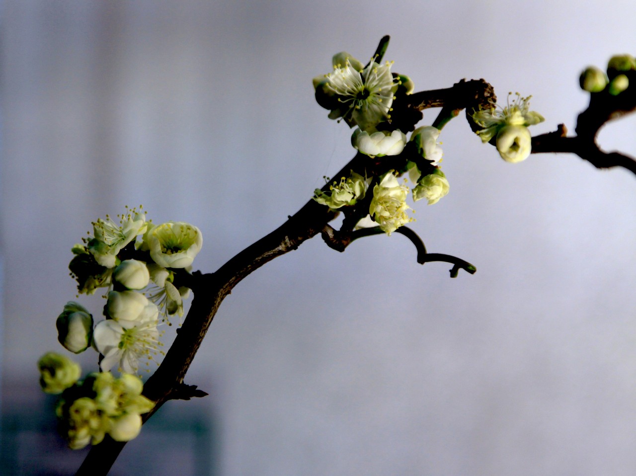 【星空体育APP网站】英媒:中国跻身第四次工业革命潮头不是梦(图2) 星空体育APP