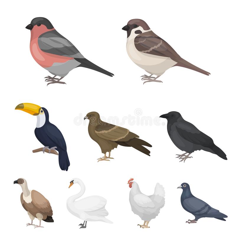 星空体育app下载