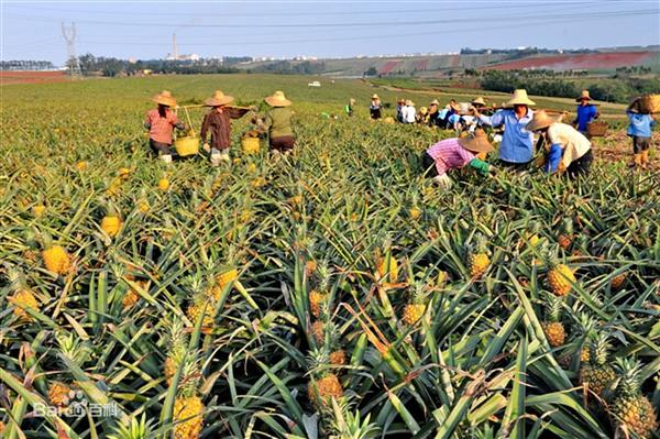 星空体育APP网站-九江口作(图1) 星空体育APP网站