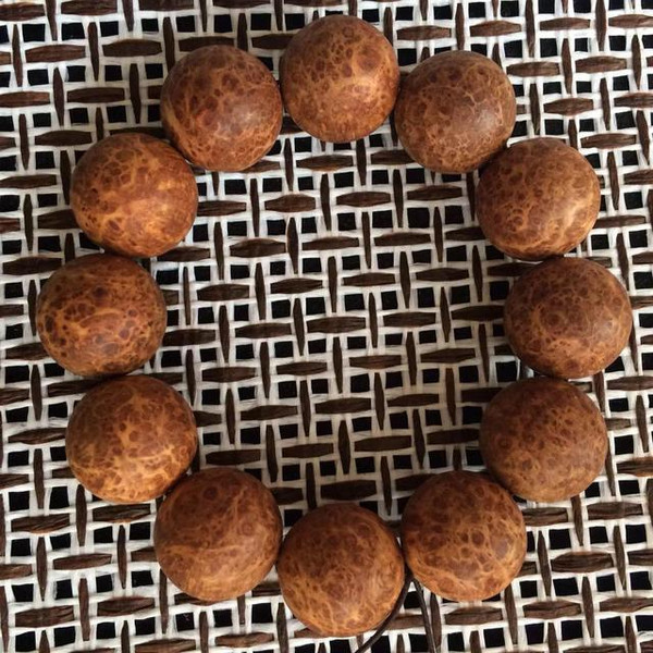 星空体育APP网站