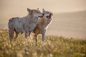 星空体育app下载