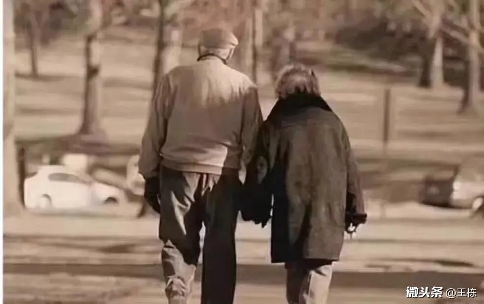 星空体育APP网站