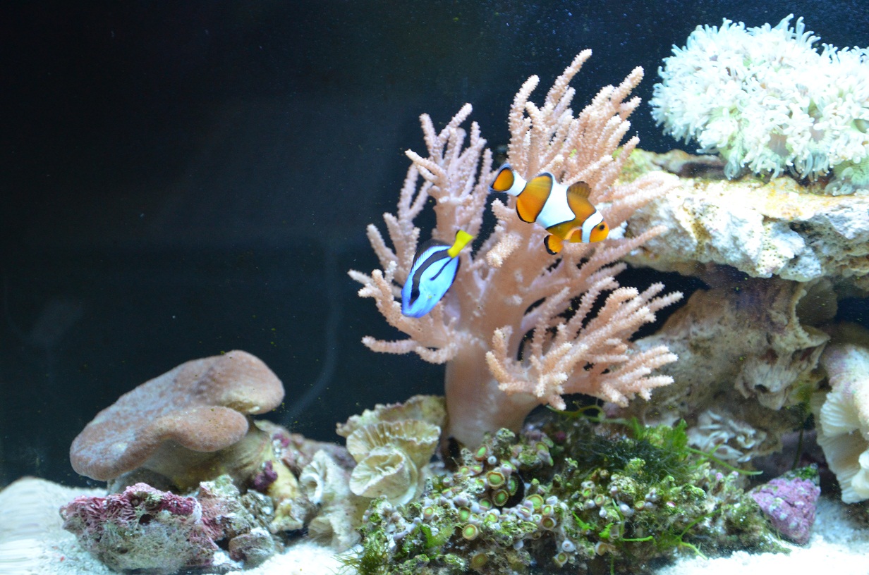 星空体育APP网站