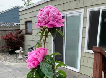 星空体育APP网站